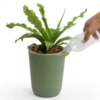 تصویر 2 از قیمت کود مرغی مناسب انواع خاک‌ ها + خرید باور نکردنی